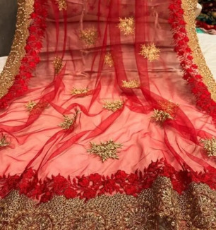 Net Embroidered Fashion Saree